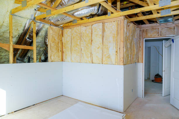 Best Insulation Maintenance and Repair in Springfield, GA