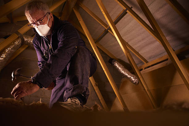 Best Insulation Installation Services in Springfield, GA